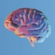 Multicolored brain graphic against a blue background